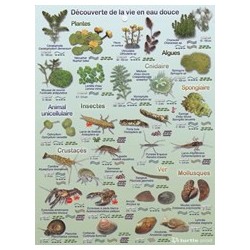 Plaquette Immergeable...