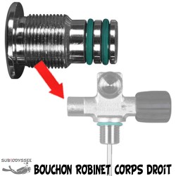 Bouchon obturateur pour...