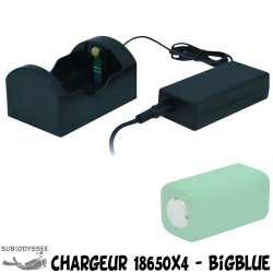 Chargeur pour batteries...