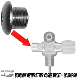 Bouchon obturateur pour...